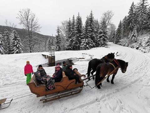 Strefa Ciszy -Lawenda Daire Świeradów-Zdrój Dış mekan fotoğraf