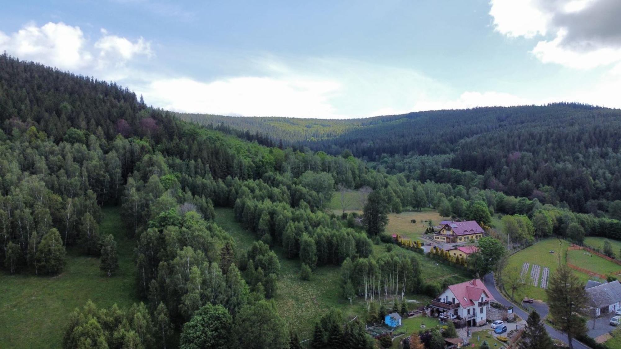Strefa Ciszy -Lawenda Daire Świeradów-Zdrój Dış mekan fotoğraf